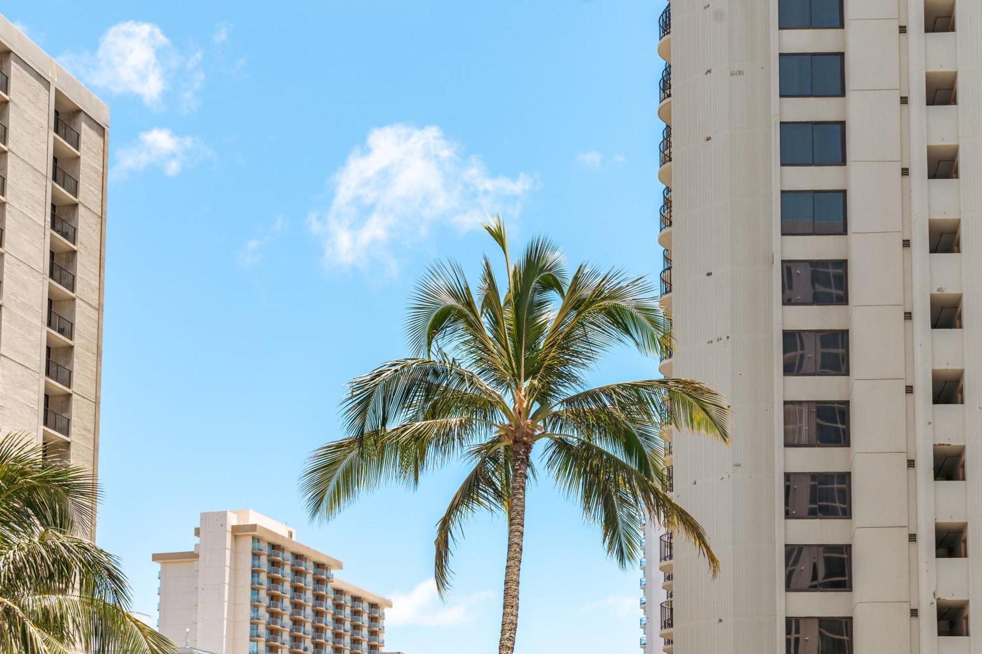 Tropical Retreat Near Waikiki Beach With Parking Appartement Honolulu Buitenkant foto